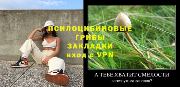 шишки Алексин