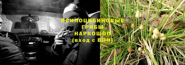 шишки Алексин