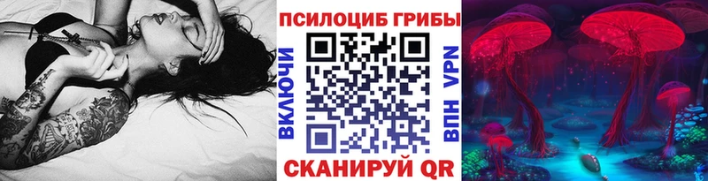Псилоцибиновые грибы прущие грибы  Андреаполь 