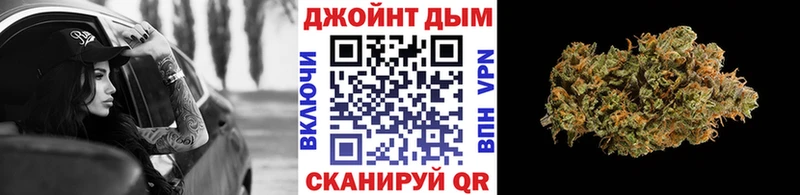 Шишки марихуана планчик  нарко площадка формула  Андреаполь 